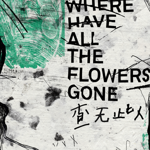 绿帽男再次给娇妻找黑人
