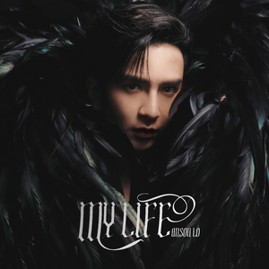 绿帽男再次给娇妻找黑人
